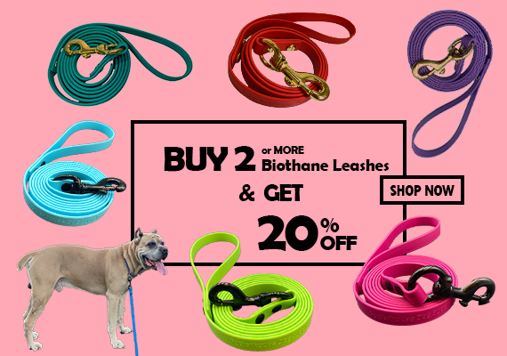 Biothane Leash Sale