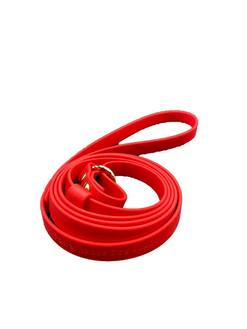 Powerhouse Biothane Slip Lead - Powerhouse Dog Supply