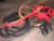 12ft Insidious Red Brazilian Hybrid Mini Bull Rope 9/7 RH or LH