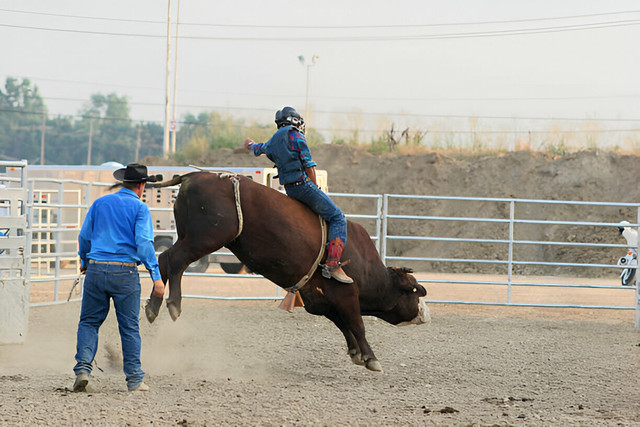 Protecting Your Ride: Understanding the Importance of Bull Riding Gear ...