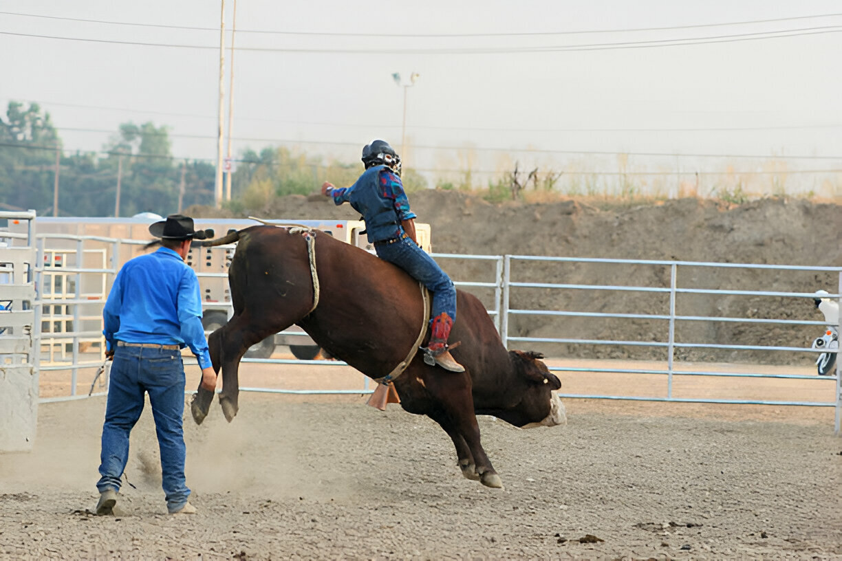 Protecting Your Ride Understanding the Importance of Bull Riding Gear EPT Bull Ropes