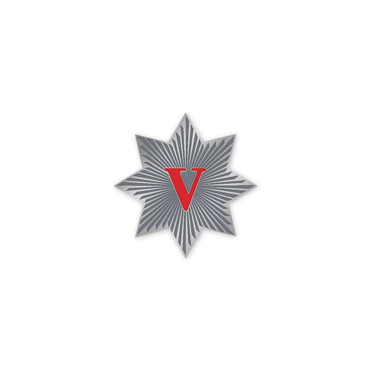 SCV V Star Pin