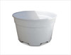 Todd authoritative product photo BW200DLR