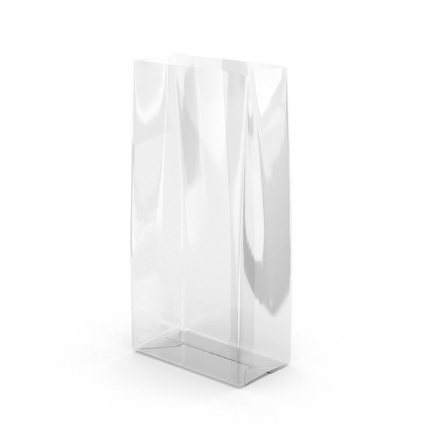 Large Clear Bag - CEL9