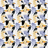Toucan Pattern Design By Artists Collection