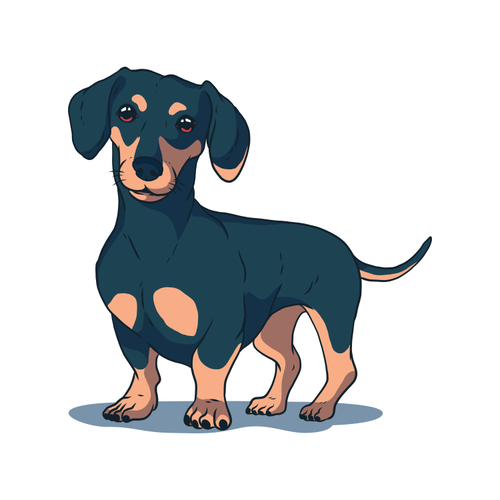 Black Dachshund Design By Vexels