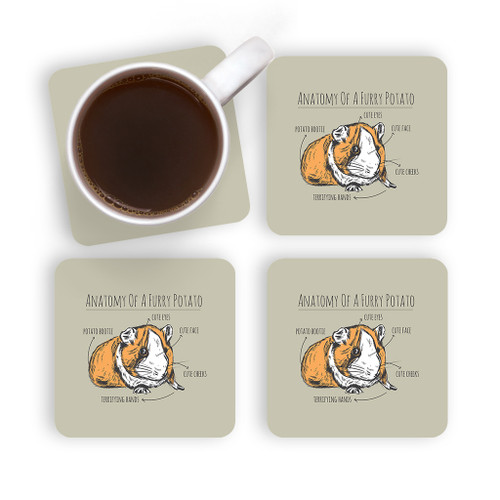 Funny Anatomy Of A Guinea Pig Coaster Set By Vexels