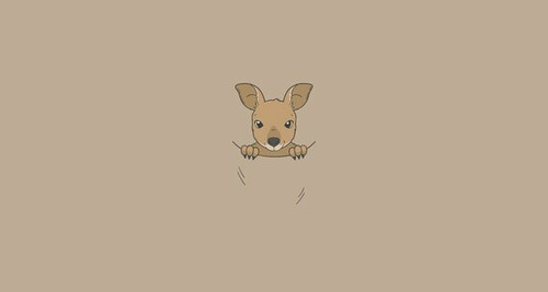 Baby Kangaroo In Pouch With Brown Background Design By Vexels
