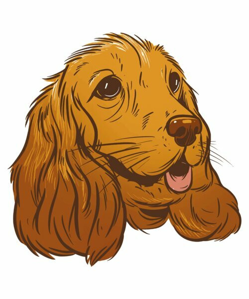 Cute Cocker Spaniel Illustration Design By Vexels