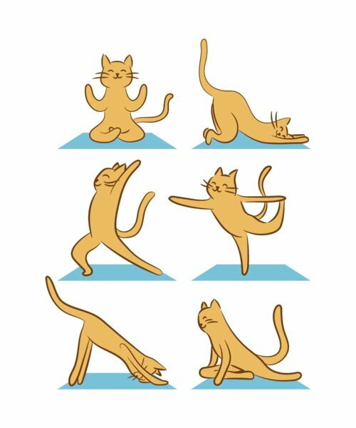 Cats Doing Yoga Design By Vexels
