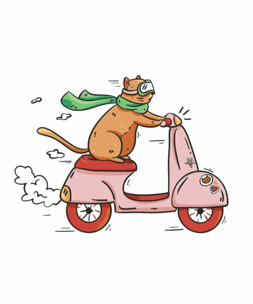 Cat Riding A Scooter Design By Vexels