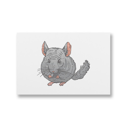 Cute Chinchilla Canvas Print By Vexels