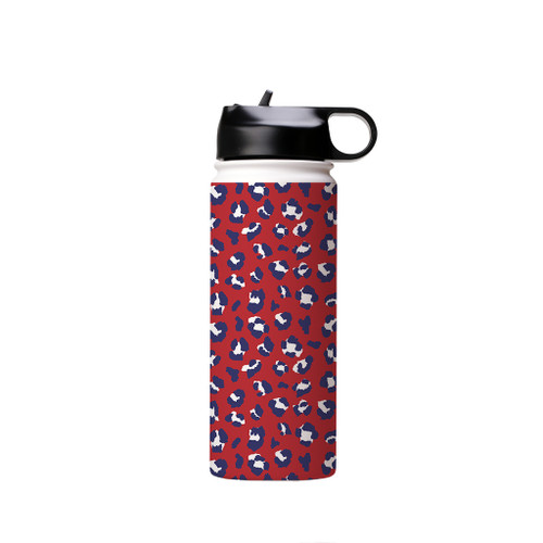 Patriotic Leopard Skin Pattern Water Bottle By Artists Collection