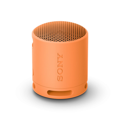 SONY - SRSXB100D.CE7 - 2230015130