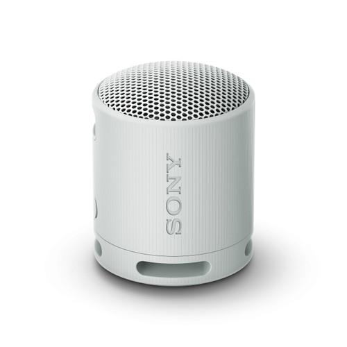 SONY - SRSXB100H.CE7 - 2230015092 SONY 0 | Trony.it