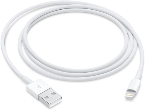 APPLE - Lightning to USB Cable (1 m) - 2210000950