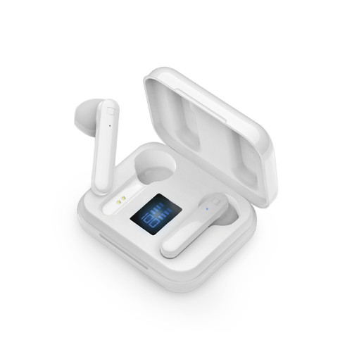 SBS - TEEARLCDTWSBTW - 2200012545