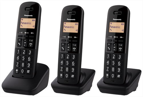 PANASONIC - KX-TGB613JTB                        - 2200004954