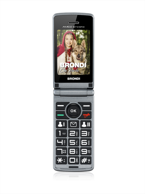 BRONDI - AMICO SINCERO - 2200010600 BRONDI - AMICO SINCERO - 2200010600