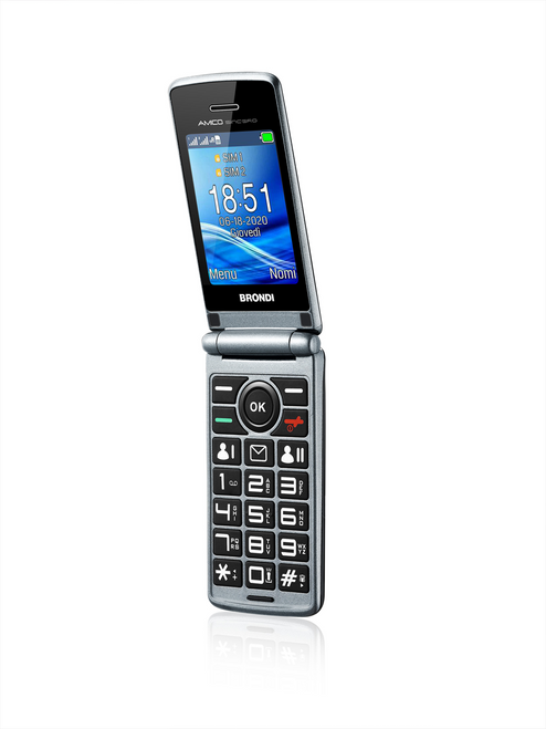 BRONDI - AMICO SINCERO - 2200010600 BRONDI - AMICO SINCERO - 2200010600
