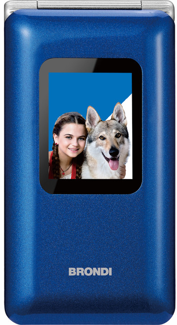 BRONDI - AMICO PREZIOSO - 2220008232 BRONDI - AMICO PREZIOSO - 2220008232