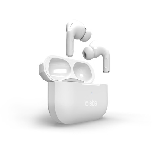 SBS - TEEARTWSPMAXBTW - 2240020383