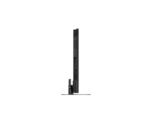 PANASONIC - TV-55Z95AEG - 2240018391