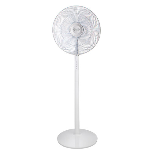 ARGO - ARGO STANDY EVO WHITE - 2210002096