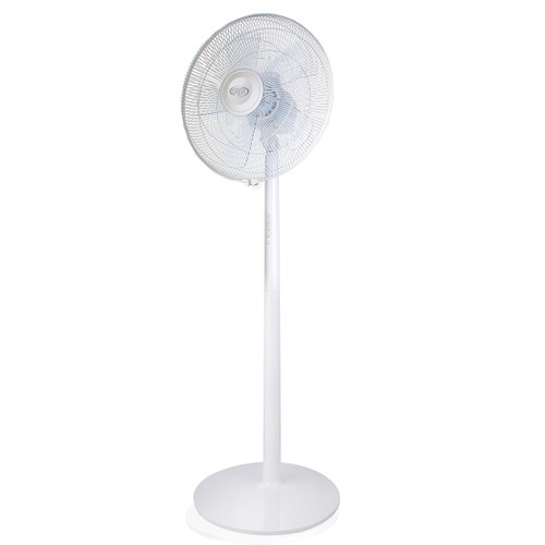 ARGO - ARGO STANDY EVO WHITE - 2210002096