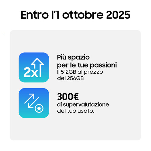 SAMSUNG - Galaxy Tab S10 Lite 8+256GB WIFI - 2250010231