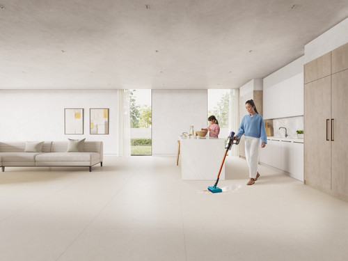 DYSON - DYSON CYCLONE V10 SUBMARINE™ - 2250018479