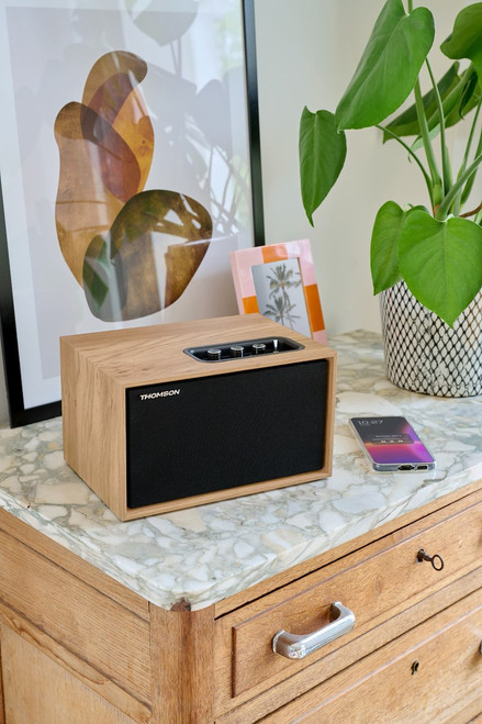 THOMSON - WS302 - 2260003662