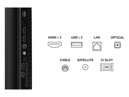 TCL - 65T69C - 2260006796