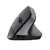 TRUST - BAYO II ERGONOMIC WIRELESS MOUSE BLK - 2240000752 TRUST 2 | Trony.it