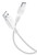 CELLULAR LINE - POWER CABLE 200CM - USB-C - 2170015473 cellular line 0 | trony.lol