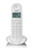 BRONDI - LOTUS - 2230017958 BRONDI 0 | Trony.it