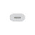 APPLE - Adattatore da USB-C a Lightning - 2230017732 APPLE 2 | Trony.it