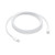 APPLE - Cavo di ricarica USB-C da 240W (2 m) - 2230017733 APPLE 0 | Trony.it
