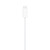 APPLE - Cavo magnetico USB-C per la ricarica rapida di Apple Watch (1 m) - 2230017723 APPLE 2 | Trony.it