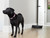 IROBOT - ROOMBA COMBO I5(178) - 2230015698 IROBOT 1 | Trony.it
