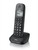 BRONDI - GALA - 2170001680 BRONDI 1 | trony.live