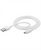 CELLULARLINE - USBDATACUSBA-CW - 2160013505 CELLULARLINE 0 | Trony.it