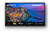 Sony - KD32W800P1AEP - 2220012777 SONY 6 | trony.live