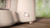 PHILIPS - ECO CONSCIOUS EDITION HD5120/00 - 2210012904 PHILIPS 10 | Trony.it