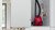 BSH Elettrodomestici S.p.A. - BGBS2RD1 - 2210012496 BSH Elettrodomestici S.p.A. 2 | Trony.it