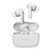 SBS - TEEARTWSURBPROBTW - 2210005937 SBS 0 | Trony.it
