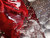 MIELE - WTD 165 WPM - 2210000448 MIELE 2 | Trony.it