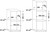 Indesit Company - IFVR 800 H AV - 2200006390 Indesit Company 4 | Trony.it