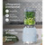 SMEG - Smeg Frullatore da Tavolo 50's Style – Azzurro LUCIDO – BLF03PBEU - 2230008861 SMEG 1 | Trony.it