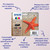EPSON - 603 STELLA MARINA T03A XL MULTIPACK MIXED 4 COLORI - 2190011203 EPSON 1 | Trony.it